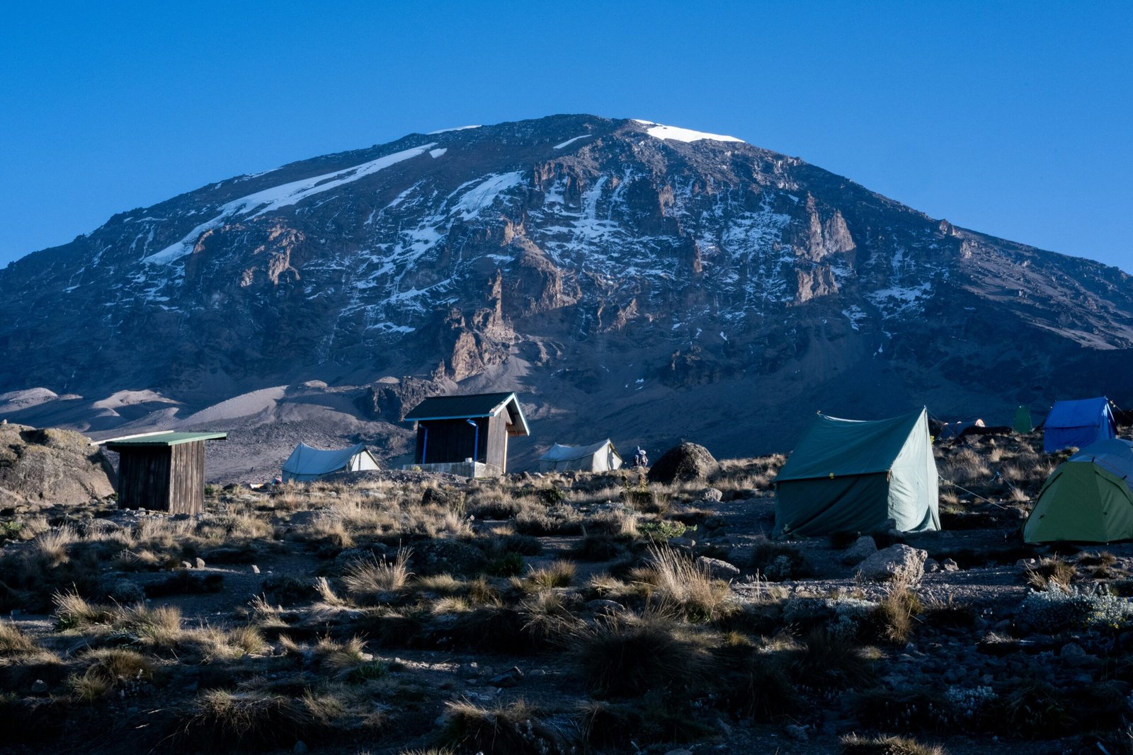 tents in a field